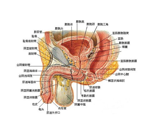 马鞍山人流多少钱