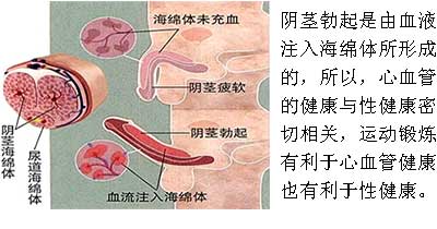 马鞍山人流多少钱